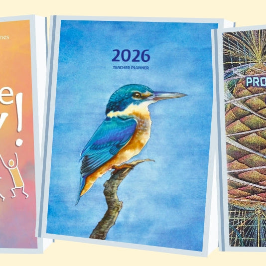 Supporting Steiner Professionals