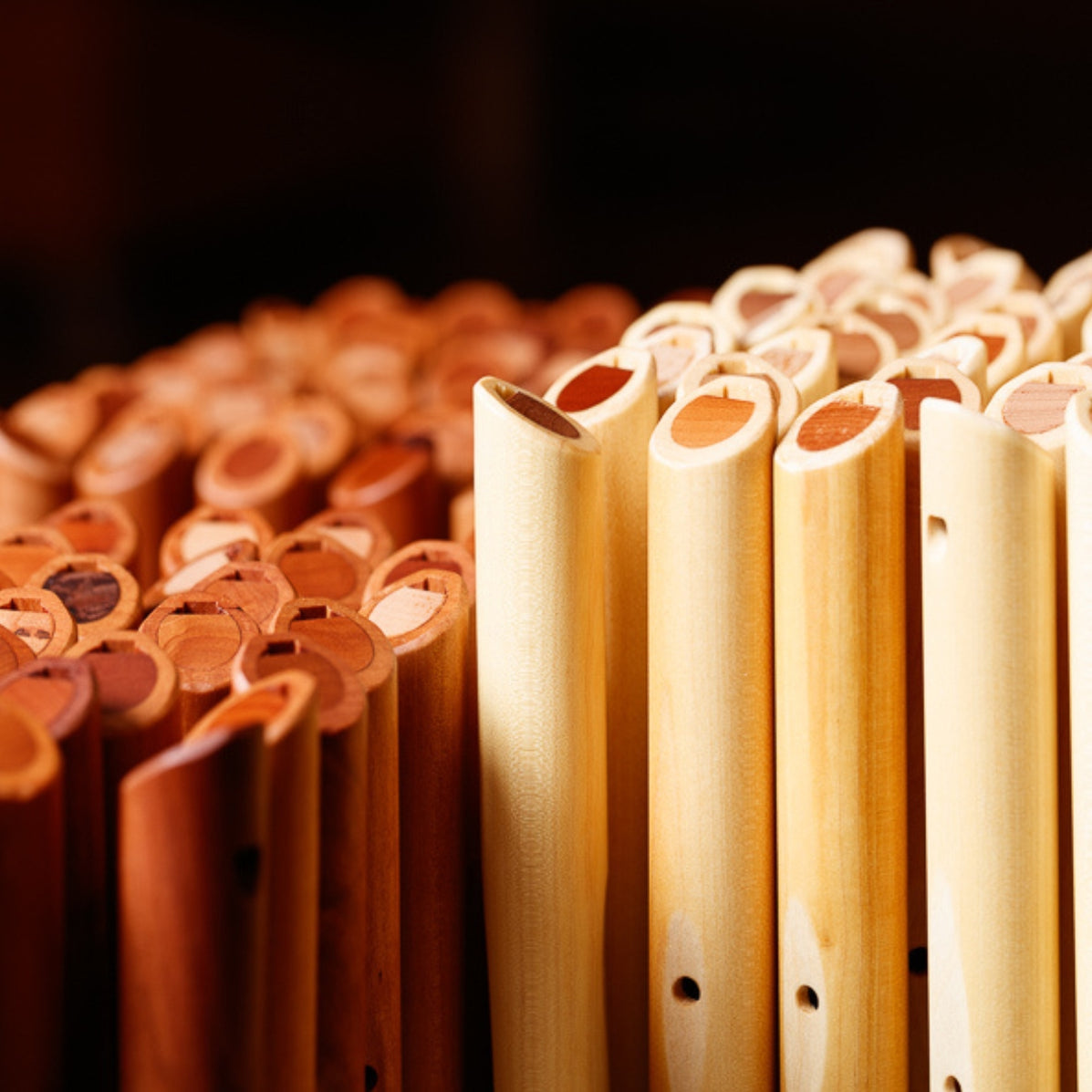 Choroi Quinta Pentatonic Recorder Wholesale in Australia — Mercurius