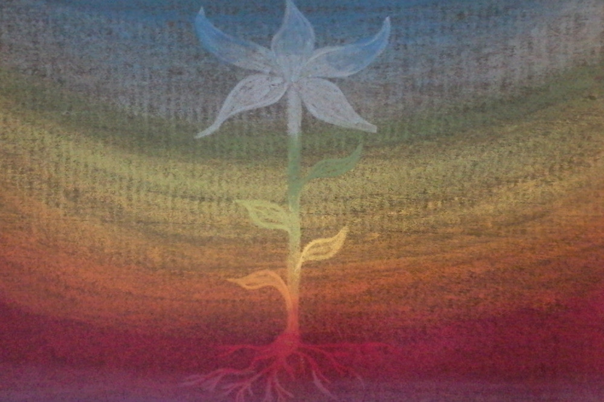 Blackboards Collection - Mercurius Australia, Online