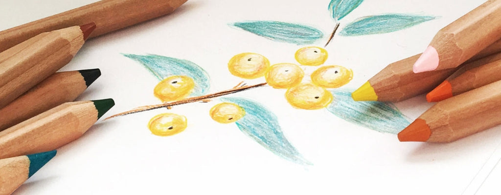 Art and Writing Pencils - Mercurius Australia 