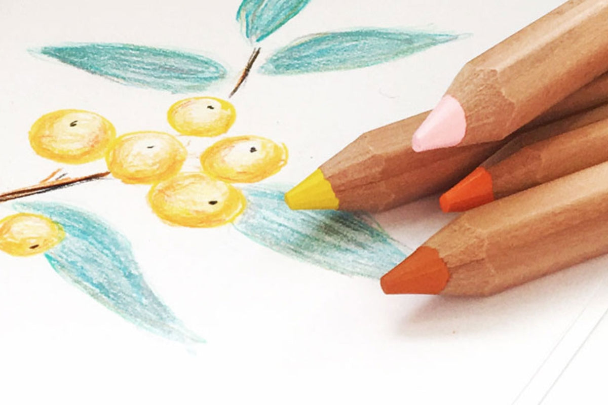 Art and Writing Pencils - Mercurius Australia 