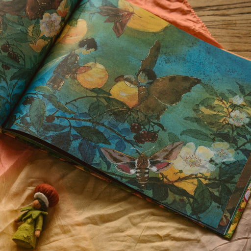 In the Land of Fairies 3/e - Book, Australia