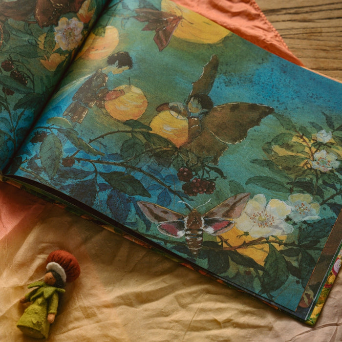 In the Land of Fairies 3/e - Book, Australia