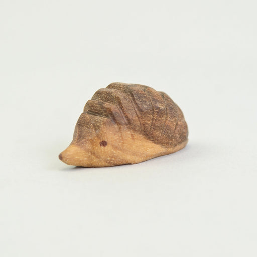 P037 Predan Hedgehog